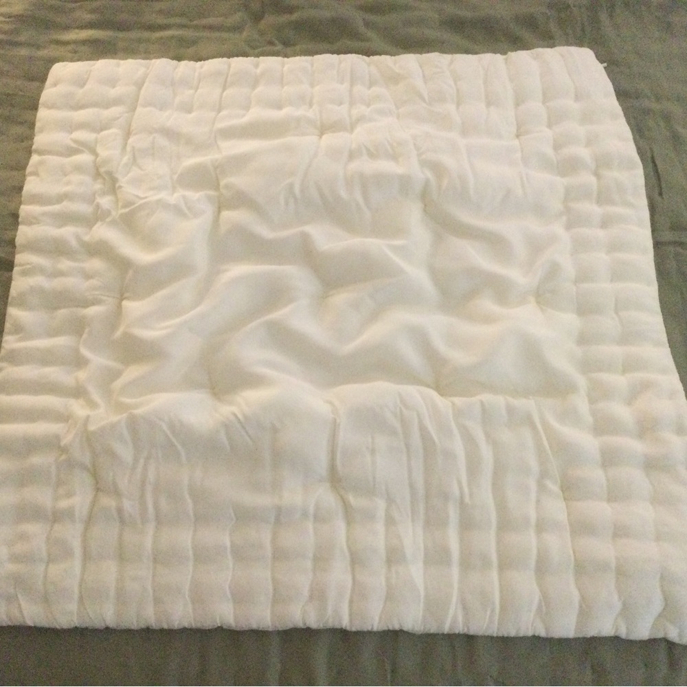 Pottery Barn Ivory Silk Euro Pillow Sham